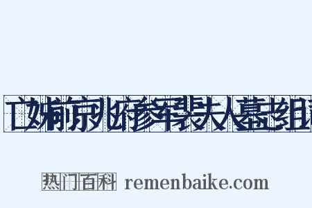 亡姊前京兆府参军裴夫人墓志组词是什么意思的图片